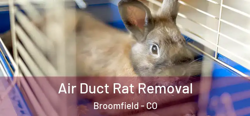  Air Duct Rat Removal Broomfield - CO