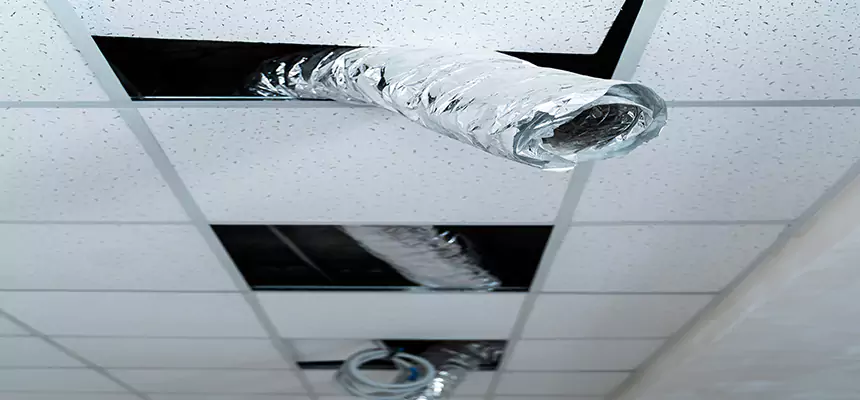 Our Air Duct Pet Hair Removal Services in Broomfield, CO