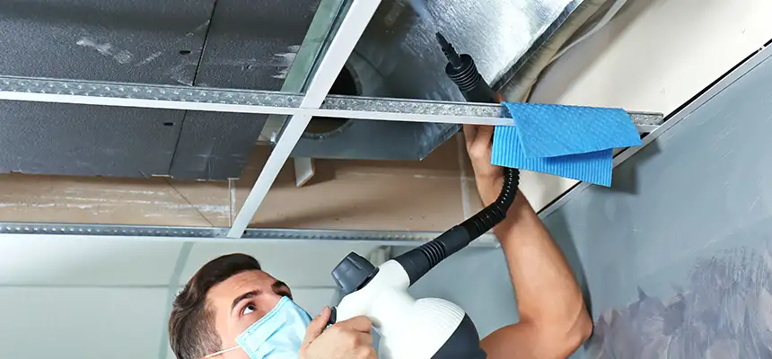 Our Air Duct Rodent Removal Services in Broomfield, CO