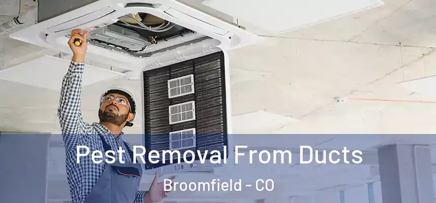 Pest Removal From Ducts Broomfield - CO