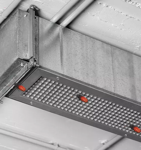 About Air Duct Cockroach Removal in Broomfield, CO