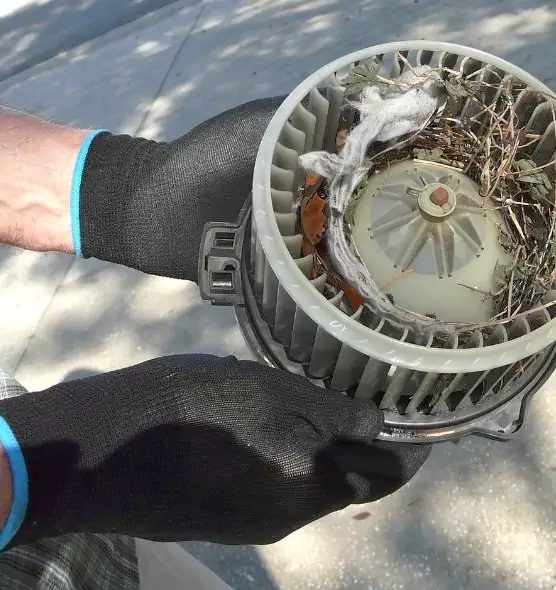 About Air Duct Mice Removal in Broomfield, CO