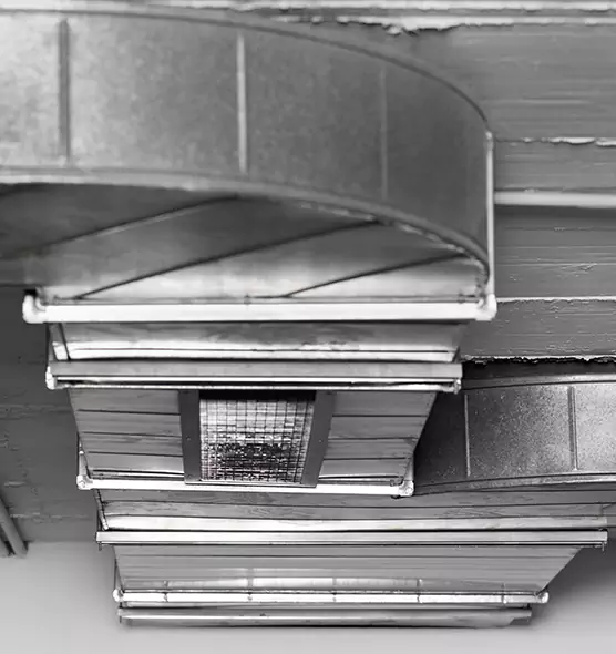 Professional Air Duct Pet Hair Removal in Broomfield, CO