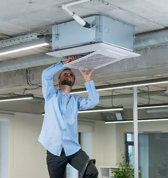 Advanced Rodent Droppings In Vents in Broomfield, CO