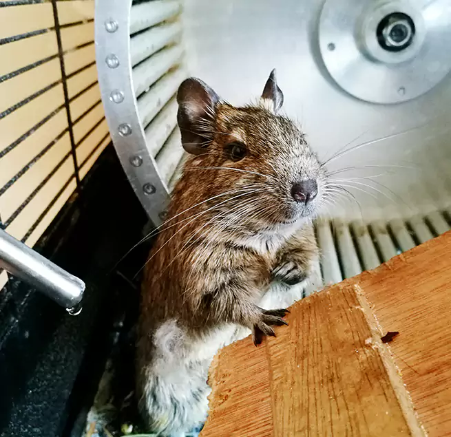 Why Homeowners & Businesses Trust Us Broomfield, CO