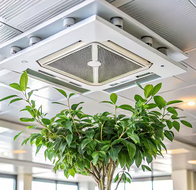 Why Homeowners & Businesses Trust Us in Broomfield, CO?