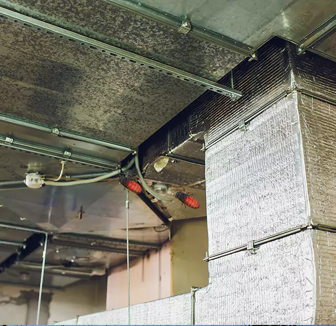 Why Homeowners & Businesses Trust Us Broomfield, CO?