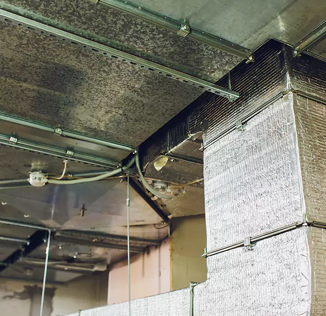 Why Homeowners & Businesses Trust Us in Broomfield, CO?